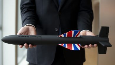 Babcock, Frankenburg plan launcher for ‘smallest’ anti-drone missile