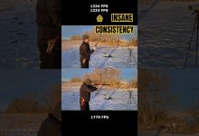 Most Consistent Factory Ammo Ever!? 🧨 #hornady #357mag