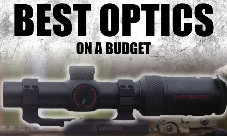 Best Optics On A Budget | Tactical RIfleman