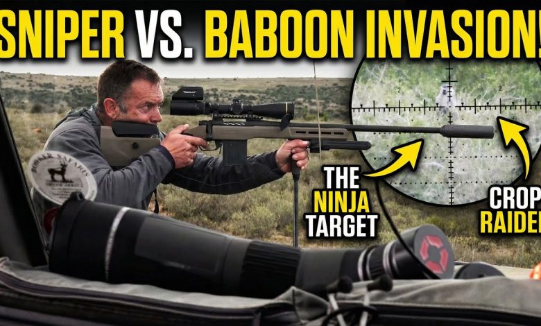 I Hunted The “Ninja” Baboons of South Africa!