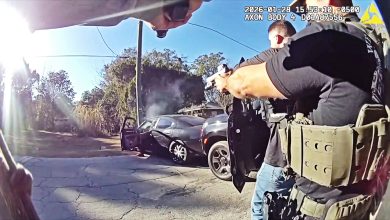 Florida Man Robs Stores At Gunpoint Loses To Power Pole