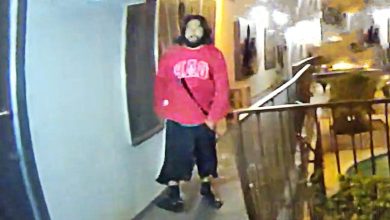 LAPD Officer Shoots Burglary Suspect Armed With Metal Pole