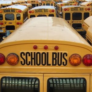 Minneapolis Public Schools CANCELS In-Person Classes After Fatal Shooting of Renee Nicole Good Minneapolis Public Schools CANCELS In-Person Classes After Fatal Shooting of Renee Nicole Good