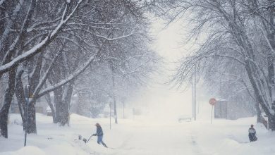 How to Read a Storm With No Forecast App – Survivopedia