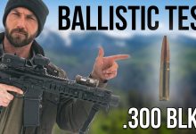 How Lethal is .300 Blackout? Supersonic and Subsonic.