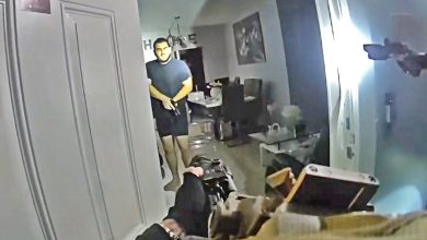 Armed Brother Of Suspect Shot as Deputies Serve Child Exploitation Warrant