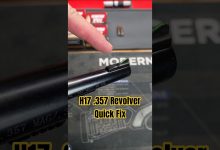 Front Sight Improvement for Almost Any Gun: Henry H17 .357 MAG Revolver