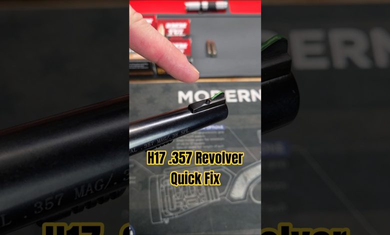 Front Sight Improvement for Almost Any Gun: Henry H17 .357 MAG Revolver