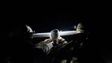 Ukraine seeks god mode with new control app for drone war