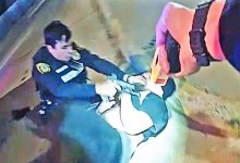 Houston Police Officer Shoots Wanted Man After Struggle