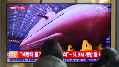 Experts worry about nuclear quid pro quo in Russia-North Korea alliance against Ukraine