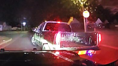 Officers Use Multiple Tactical Maneuvers To Stop Reckless Teen Driver