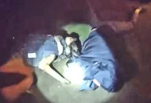 K9 Asher Tracks And Bites Fleeing Suspect After Pursuit