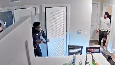 Police Tase Robbery Suspect After Being Let in by Pimp Suspect