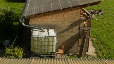 How to Convert a Garden Shed into a Backup Survival Shelter – Survivopedia