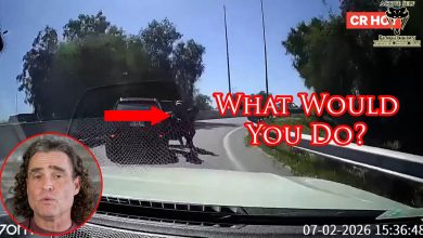 Savvy Defender Outsmarts Armed Carjackers!
