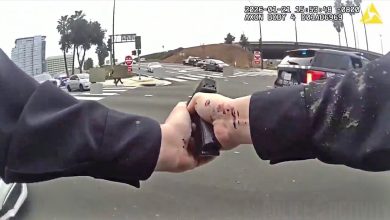 California Crime Spree Ends In Wild Police Shootout