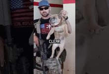 How Navy Seals clear a room #military #howto #dog #funny #specialforces