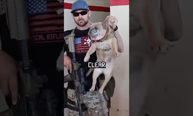How Navy Seals clear a room #military #howto #dog #funny #specialforces