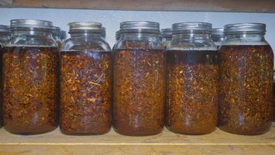 Cultural First 72 Hours Medical Strategies – Survivopedia