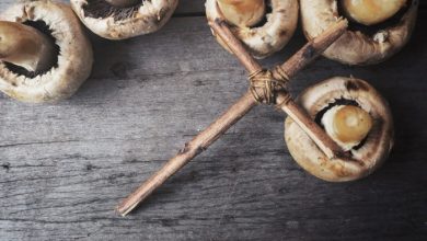 Teaching Faith Through Self-Reliance – Survivopedia Teaching Faith Through Self-Reliance – Survivopedia