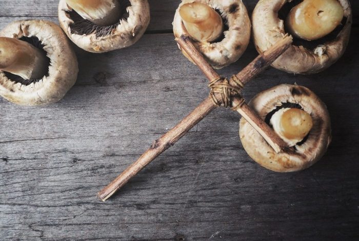 Teaching Faith Through Self-Reliance – Survivopedia