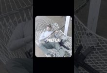 Which is better: AR vs. LEVER GUN? Sound off in the comments #shorts #opinion #military #cool