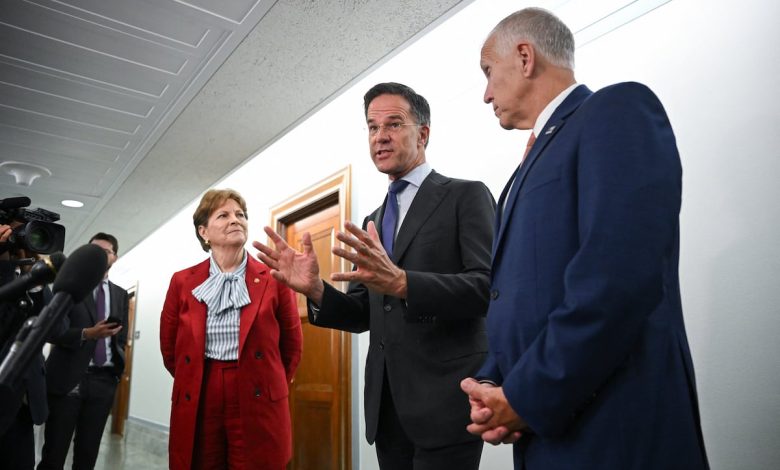 Bipartisan group of senators vow to keep US in NATO despite Trump threats