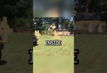 Tag your buddy who wants to build his own shooting range! #tips #military