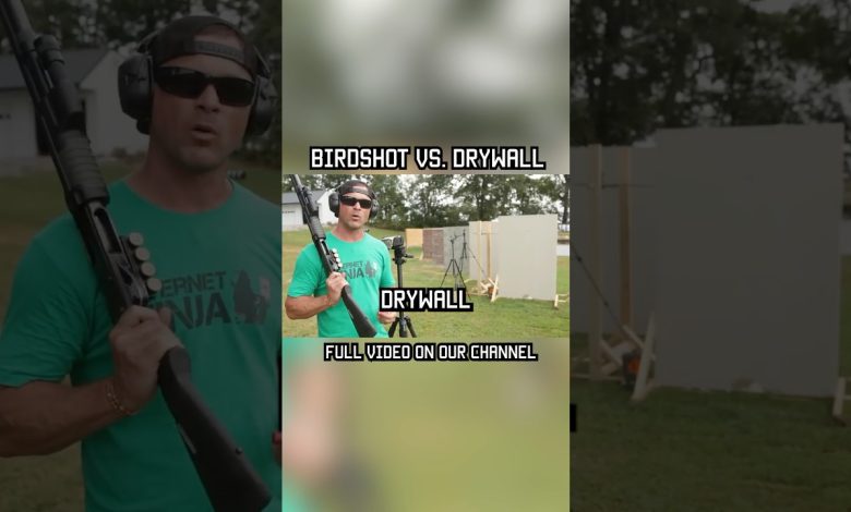 Birdshot vs. Drywall #shotgun #military #lawenforcement