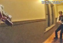 Bodycam Shows Chicago Officer Shot by Her Own Partner