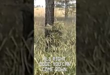 Best military camoflauge ever? Sniper school 1994 #vhs #throwback #military #shorts