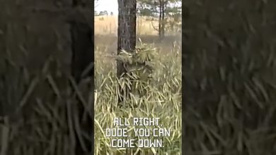 Best military camoflauge ever? Sniper school 1994 #vhs #throwback #military #shorts