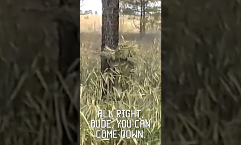 Best military camoflauge ever? Sniper school 1994 #vhs #throwback #military #shorts