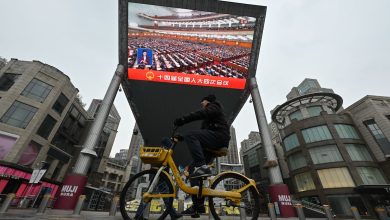 Inside China, artificial intelligence is a snake eating its own tail