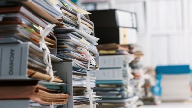 Turns Out the Elites Like the Administrative State Better than Democracy