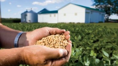 U.S. Farmers Are Facing Two Historic Catastrophes At The Same Time In 2026