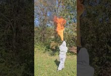Flamethrower vs. Paper Hornet Nest #fire #fun #shorts