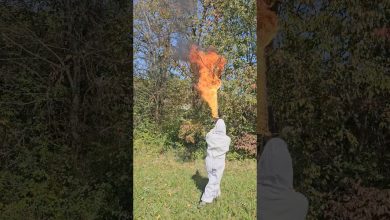 Flamethrower vs. Paper Hornet Nest #fire #fun #shorts