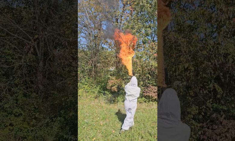 Flamethrower vs. Paper Hornet Nest #fire #fun #shorts