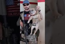 How Navy Seals Clear A Room #specialforces #navyseal #shorts