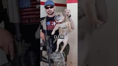 How Navy Seals Clear A Room #specialforces #navyseal #shorts
