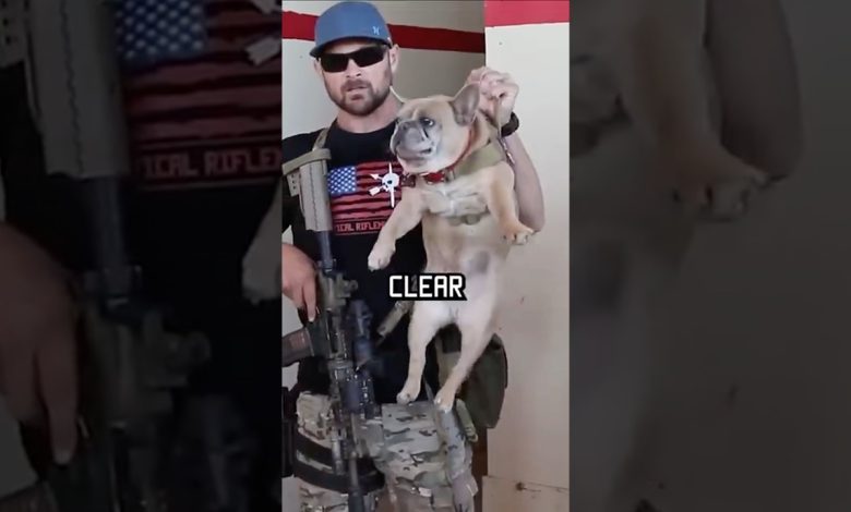 How Navy Seals Clear A Room #specialforces #navyseal #shorts