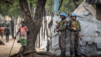Peacekeeping troop numbers fall to lowest in at least 25 years, SIPRI says Peacekeeping troop numbers fall to lowest in at least 25 years, SIPRI says