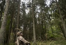 NATO eastern deterrence strategy takes shape around ‘autonomous zone’