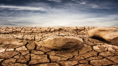 Megadrought: We Just Experienced The Driest First Three Months Of A Year In U.S. History