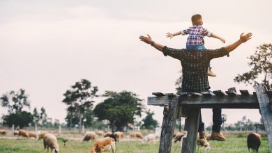 Balancing Preparedness With Contentment In The Present – Survivopedia
