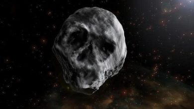 Newly Discovered Asteroid The Size Of A Basketball Court Will Pass CLOSE To The Earth On Monday