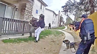 Suspect Attacks Officer With Butcher Knife