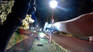 Cops Face Charging Dog While Investigating Armed Family Altercation